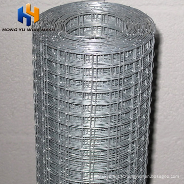 10x10 Bird Avioty Weld Wire Mesh Cage